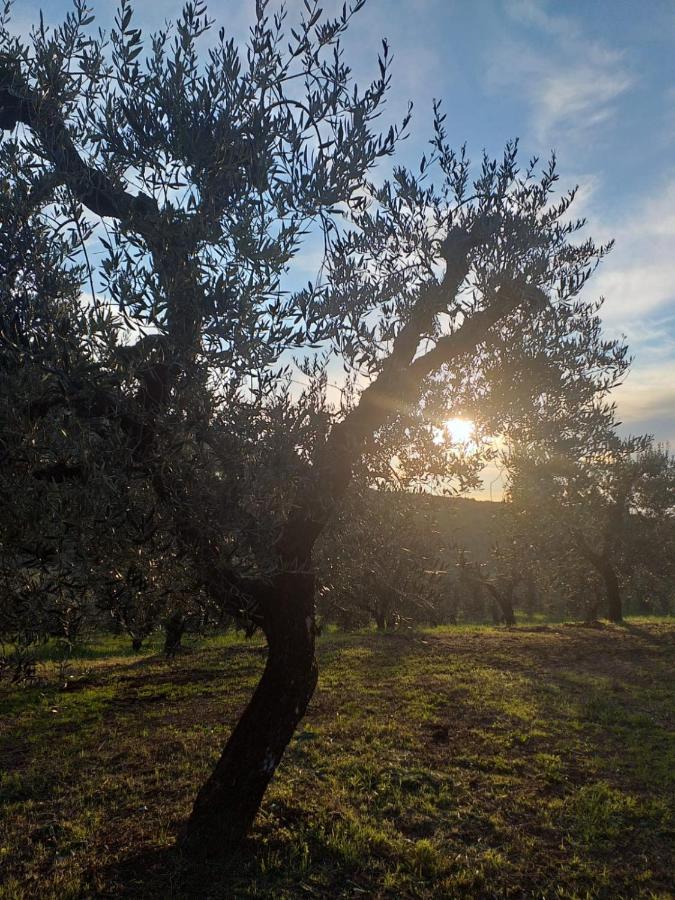 לינה וארוחת בוקר Rocca Massima Casale Dei Priori מראה חיצוני תמונה
