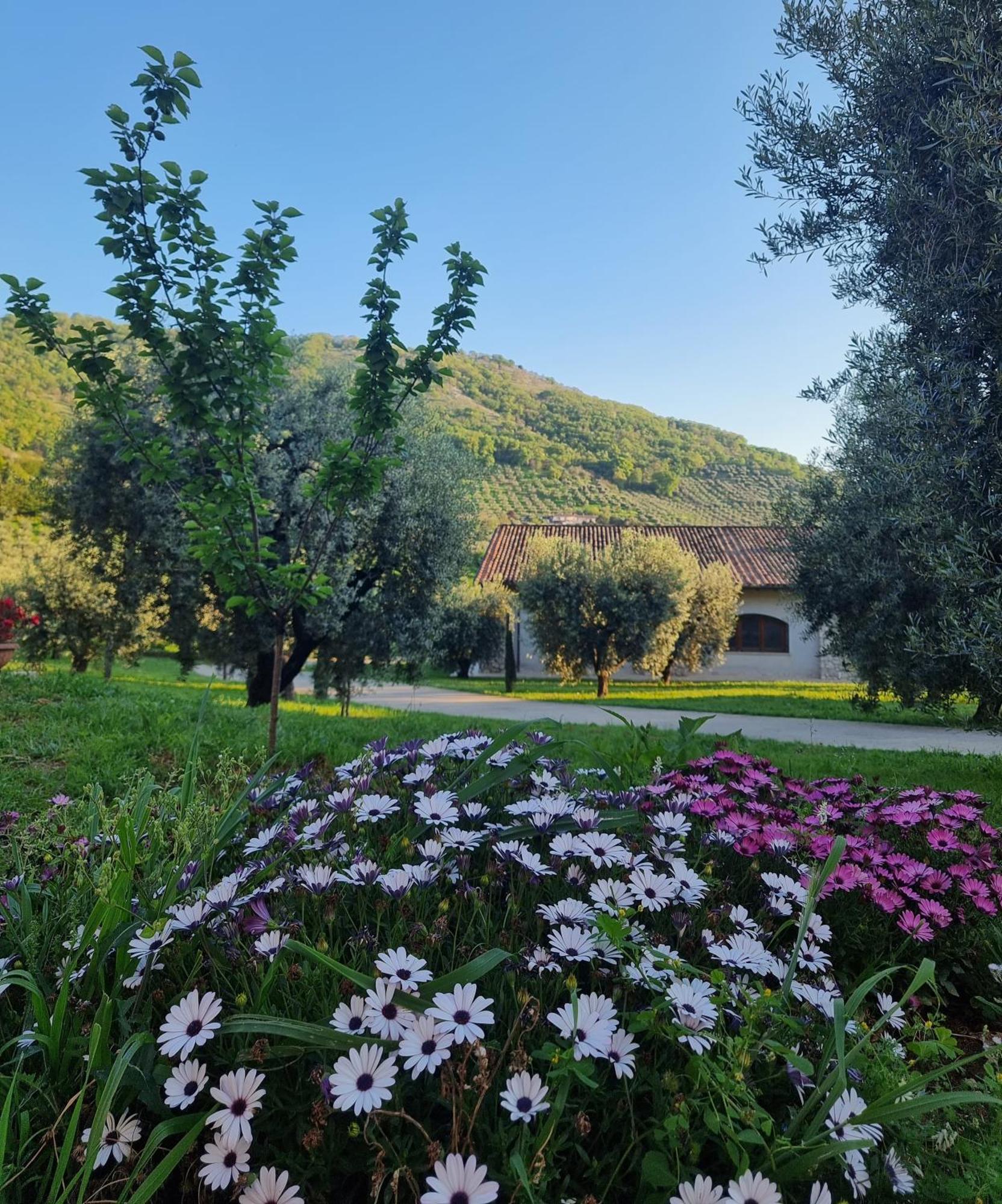 לינה וארוחת בוקר Rocca Massima Casale Dei Priori מראה חיצוני תמונה
